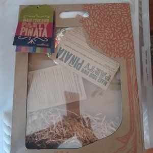 Make Your Own Party Pinata  New!